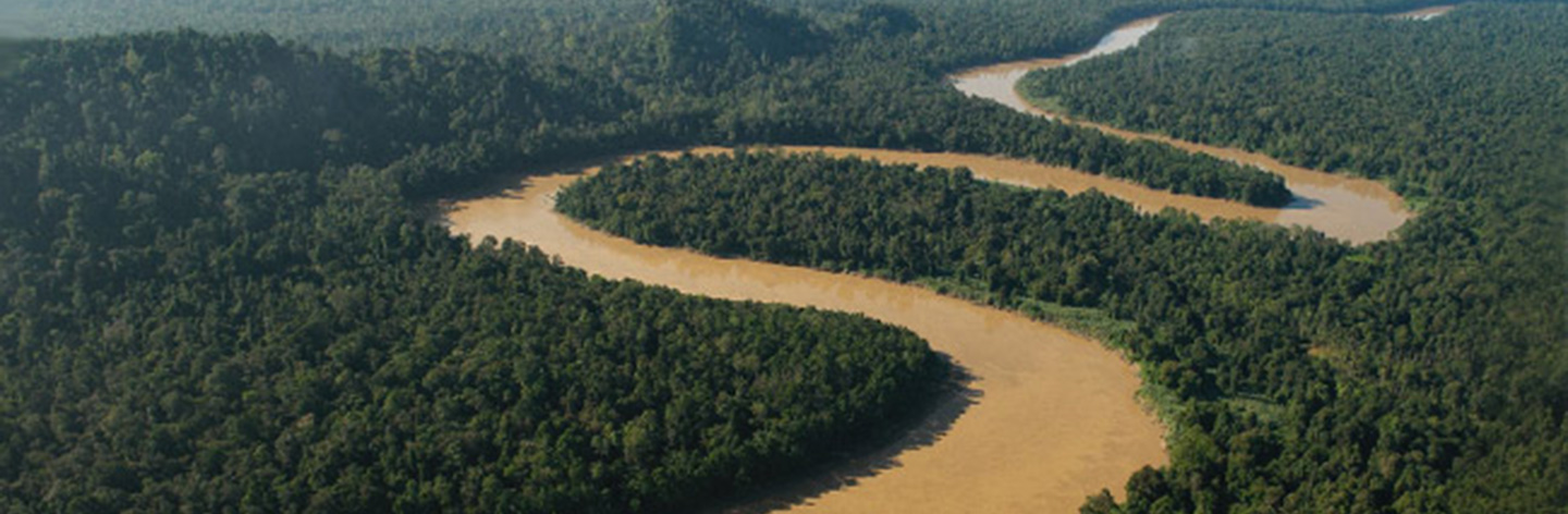 One Planet Business for Biodiversity