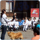Sesta edizione Scuola di Petcare