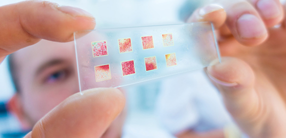 Nestle Research Imperial College London partnership