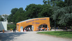 Olimpiadi delle Famiglie