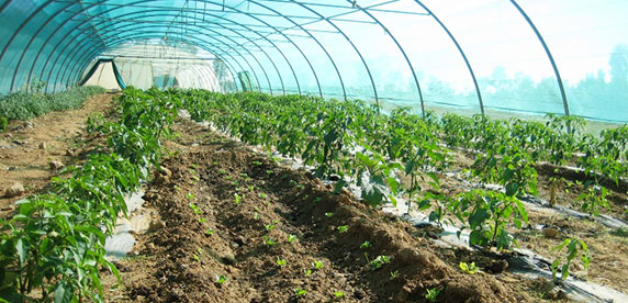 Cambiamento climatico