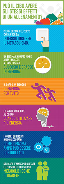 infographic