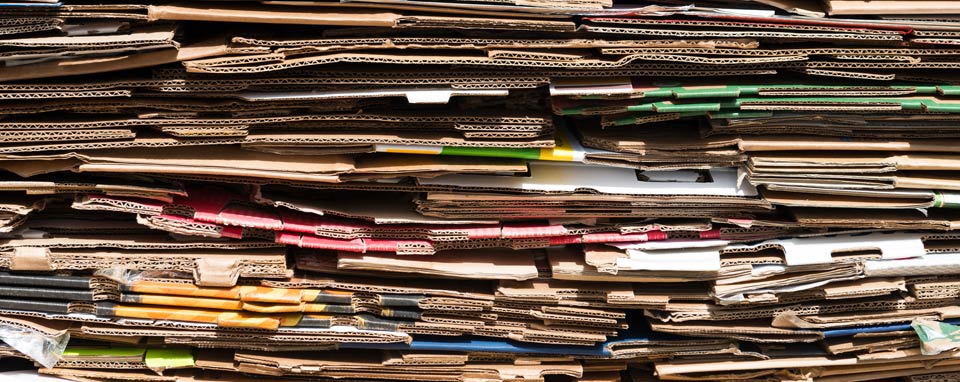 Zero rifiuti e sostenibilità: il futuro delle fabbriche