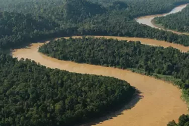 One Planet Business for Biodiversity