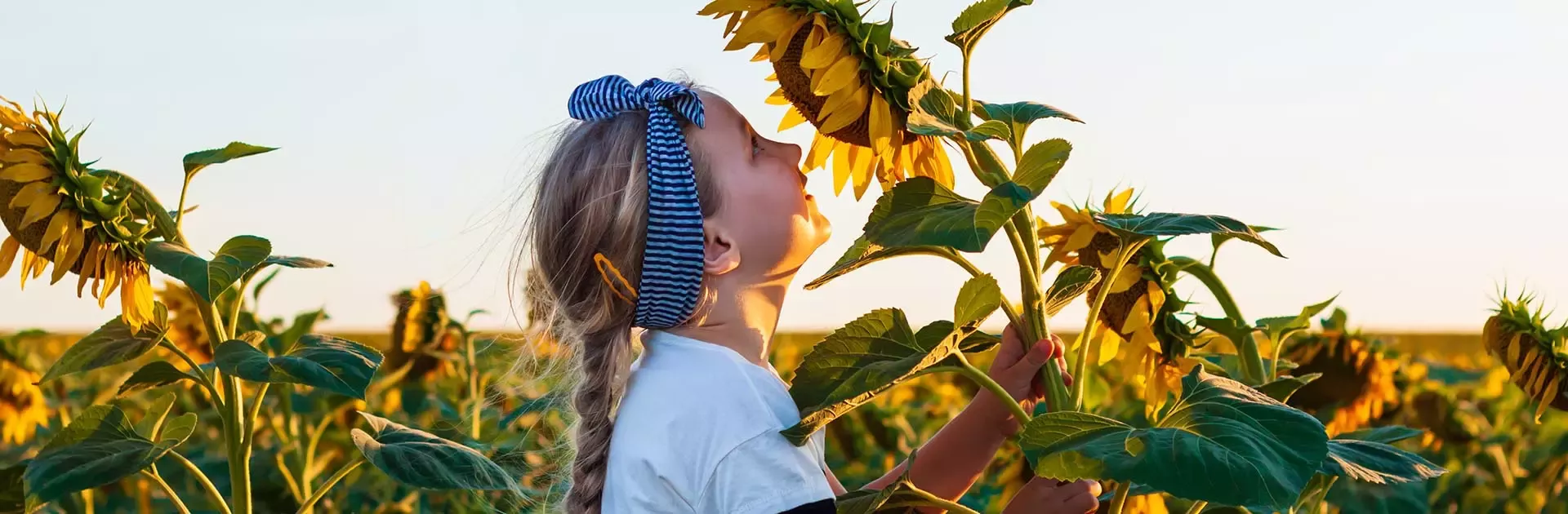 Net zero roadmap Nestlé