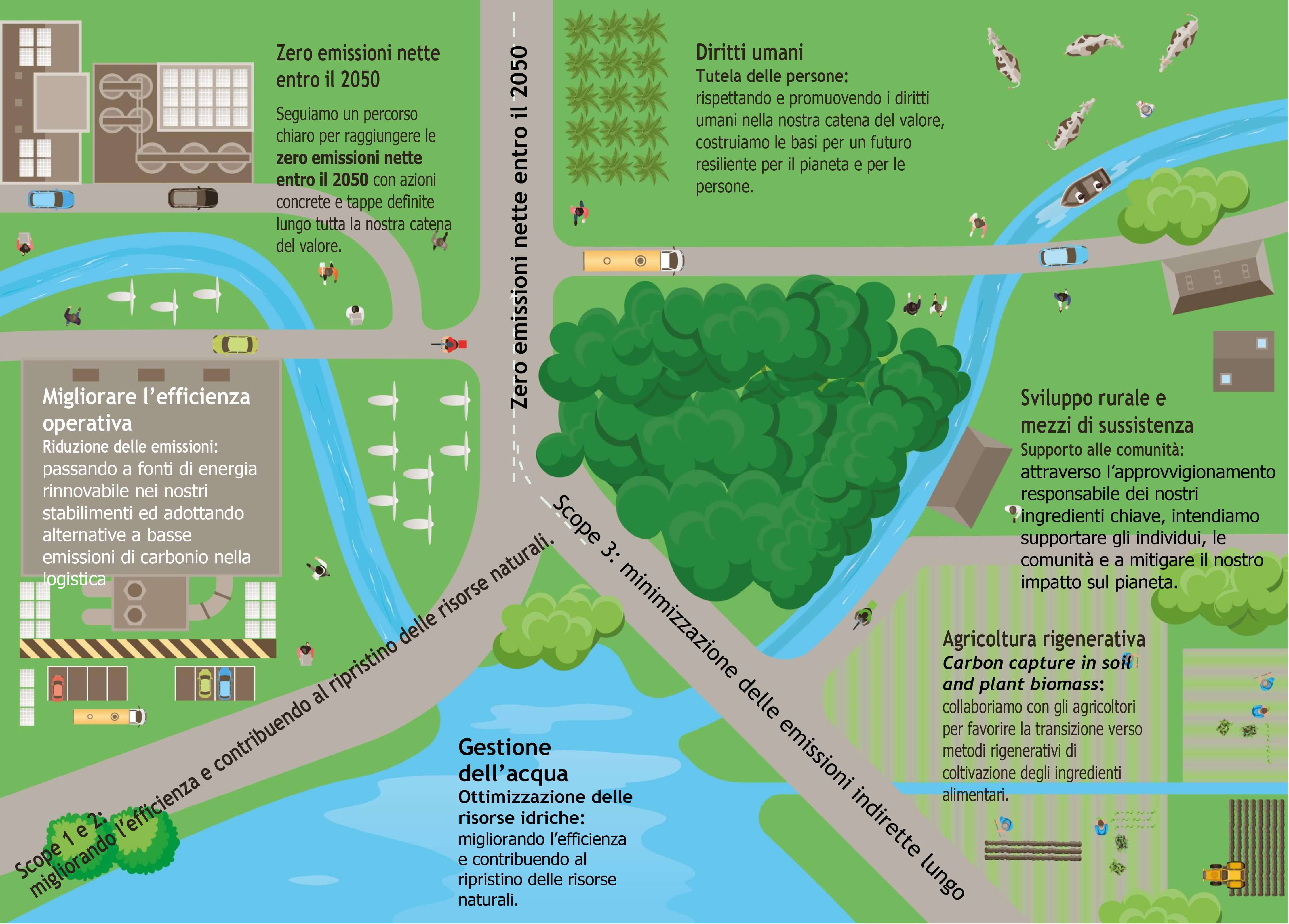 net zero road map