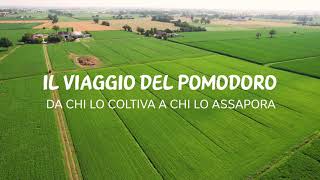 Il viaggio del pomodoro