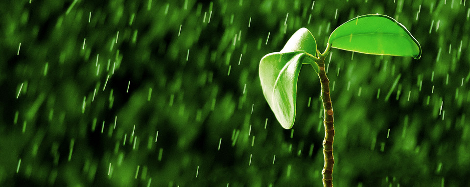 Come risparmiare acqua utilizzando i rifiuti